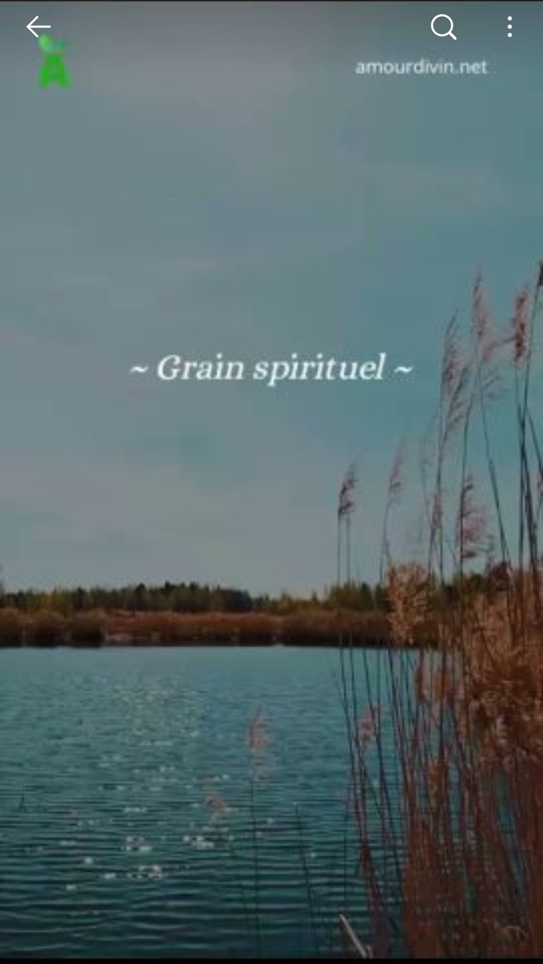 Grain Spirituel de l'amour divin (1ère Pochette)