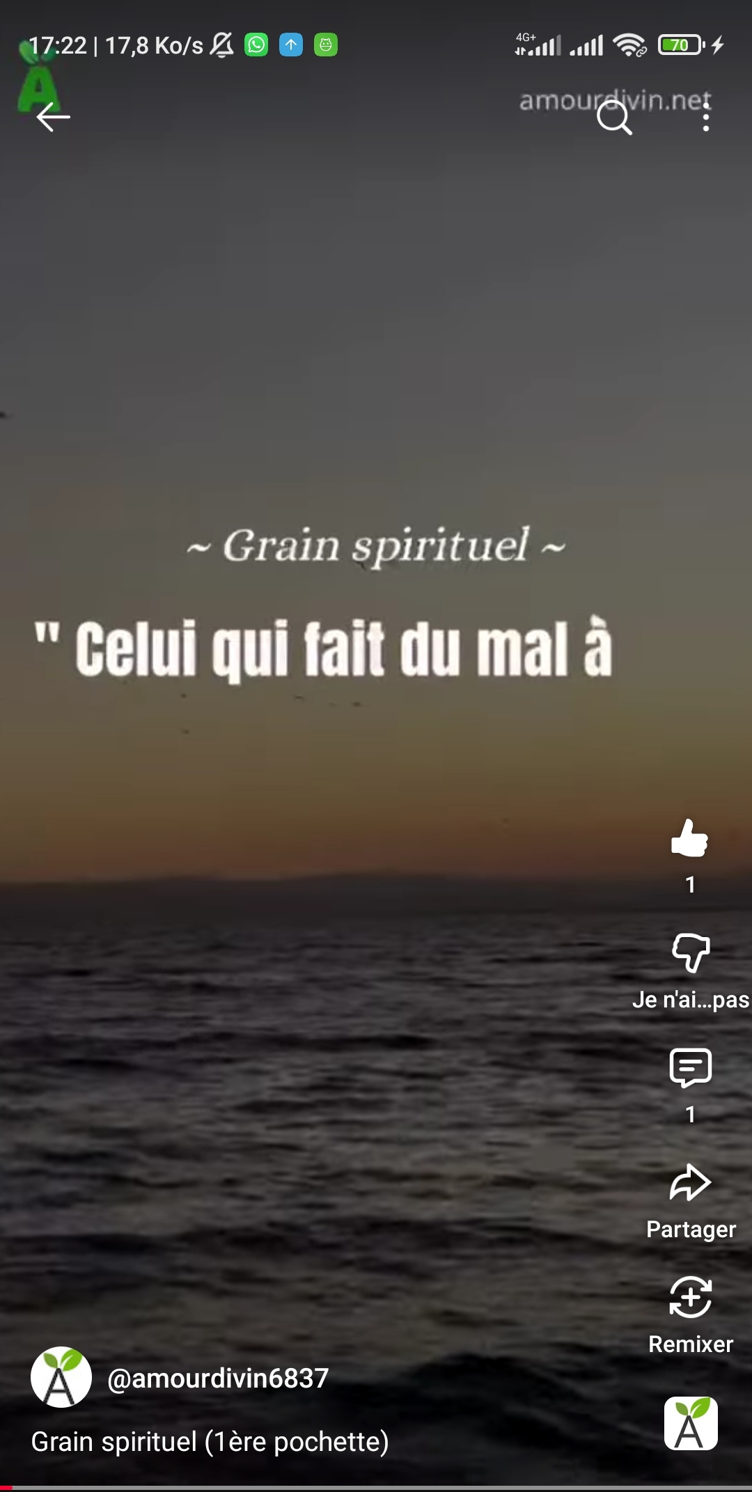 Grain Spirituel de l'amour divin (2ème Pochette)